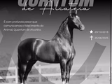 Haras alagoano registra morte de 69 cavalos por consumo de ração contaminada; entre eles, um avaliado em R$ 12 milhões