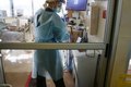 Fungo resistente a medicamentos se espalha rapidamente em hospitais europeus, alertam autoridades de saúde