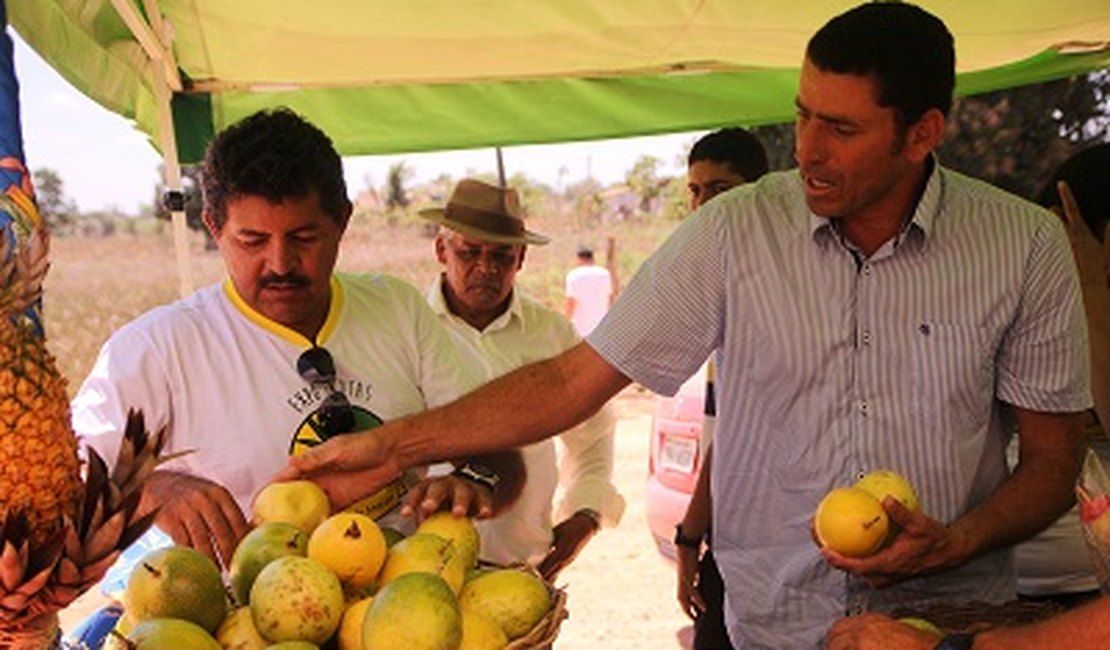 Agricultores familiares divulgam produtos na 1ª Expo Frutas