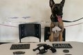 Arma de fogo é encontrada dentro de residência e homem acaba preso no bairro Brasília