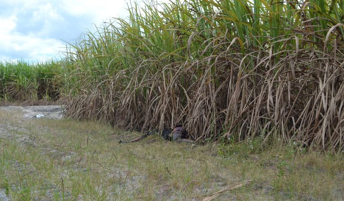 Cadáver é encontrado em canavial por trabalhadores rurais, em São Miguel dos Campos