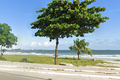 Homem é assassinado na faixa de areia da Praia da Avenida, em Maceió; perfurações foram encontradas no pescoço da vítima