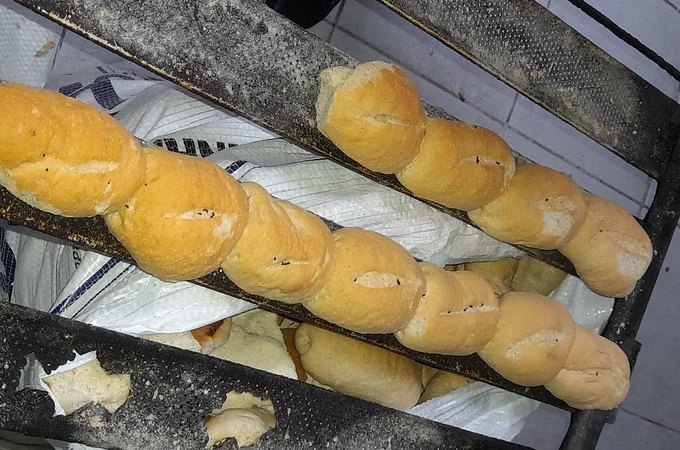 Padaria é interditada após vigilância sanitária encontrar fezes de rato em pães