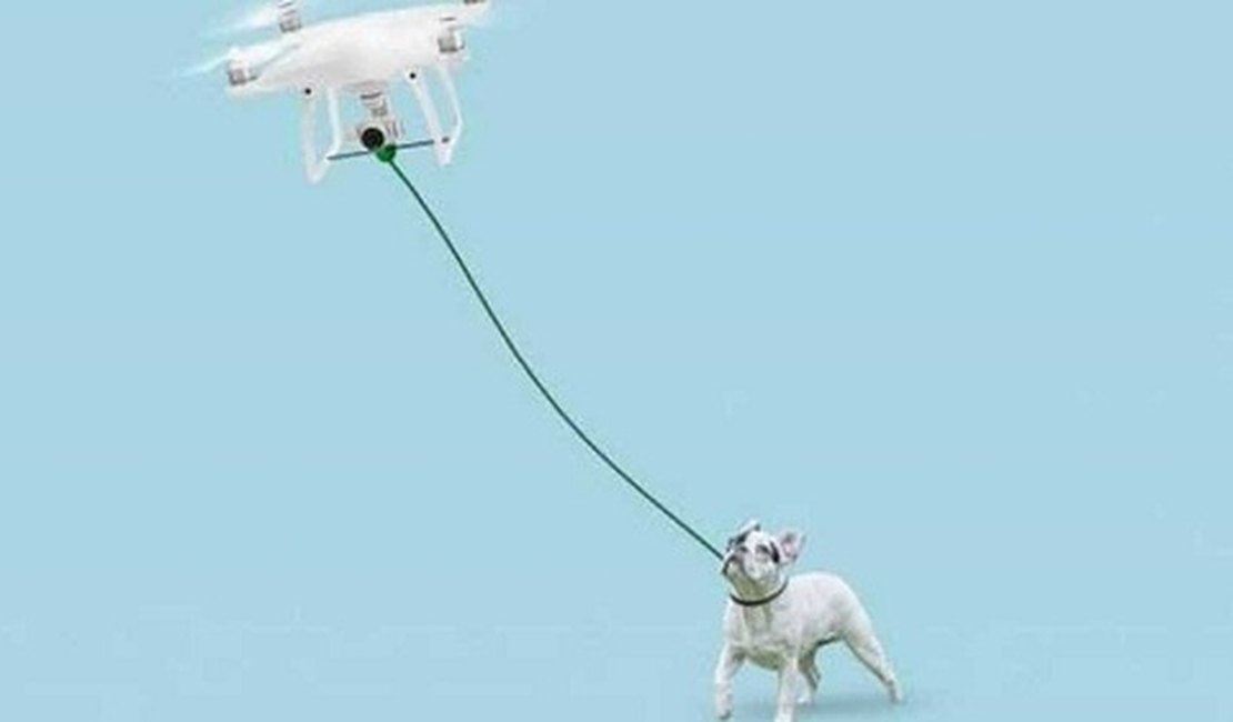 Empresa cria drone que passeia com cães