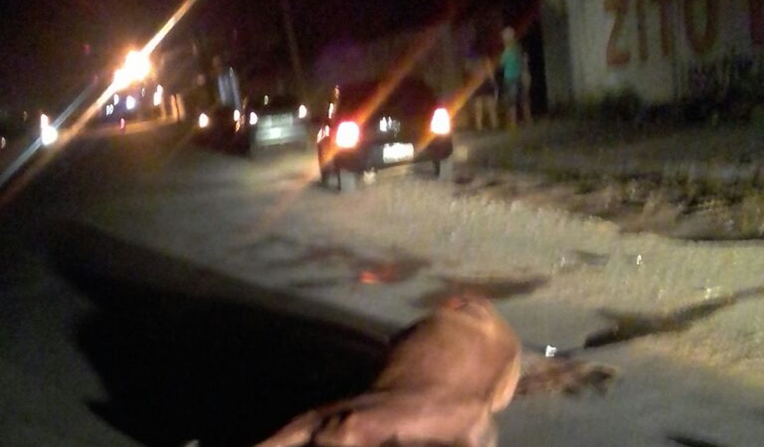 Motociclista morre após colidir contra cavalo na AL-110, em Arapiraca