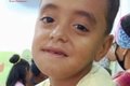 Criança de 7 anos morre após levar coice de cavalo no interior de Alagoas