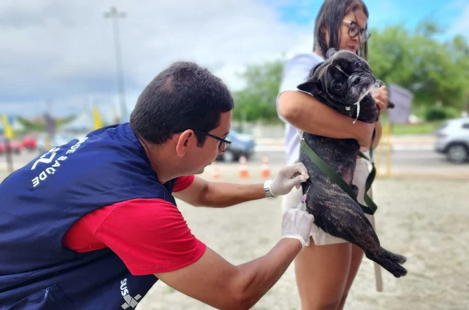 Com cobertura ampliada, Prefeitura de Arapiraca realiza mutirão de vacinação antirrábica neste sábado (27)