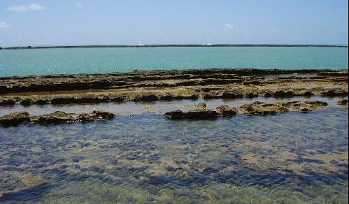 Boato sobre praia de nudismo em Alagoas repercute nas redes sociais