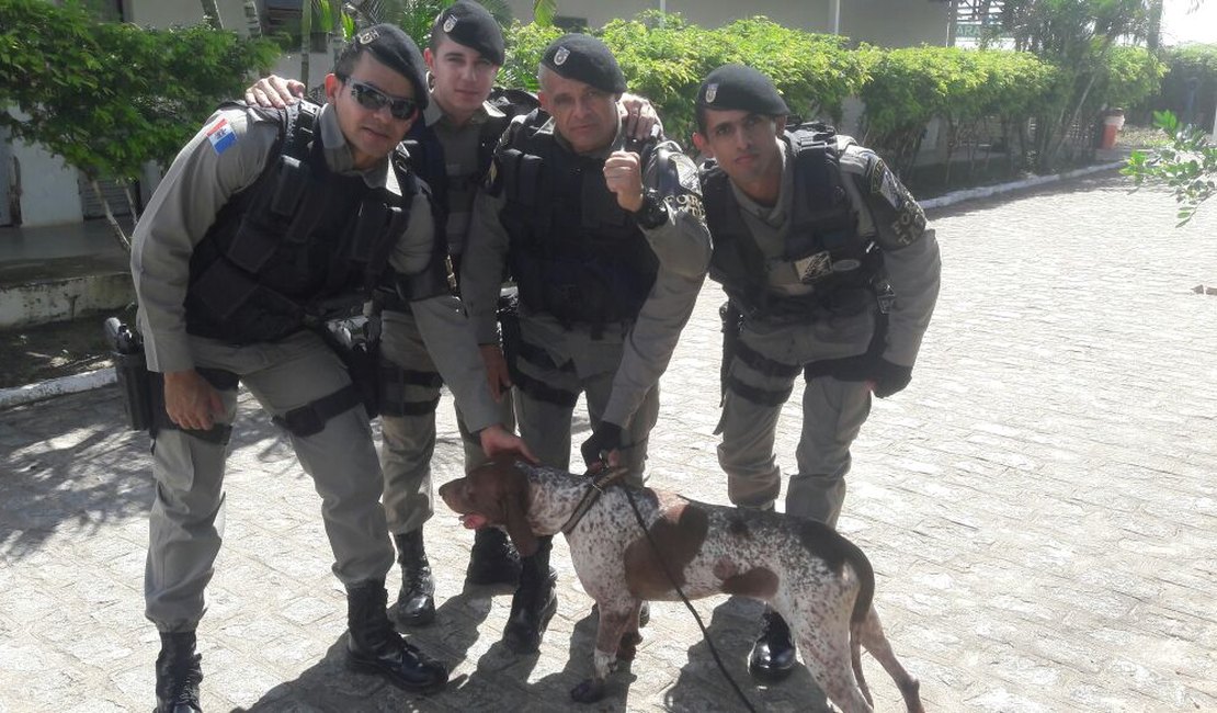 Cachorro vítima de maus tratos é resgatado por militares, em Arapiraca