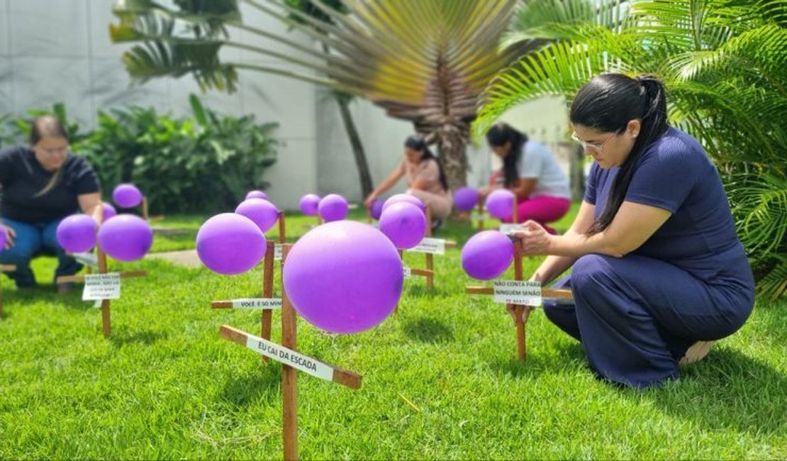 Área Lilás do Hospital de Emergência do Agreste transforma jardim em painel de conscientização sobre violência contra a mulher