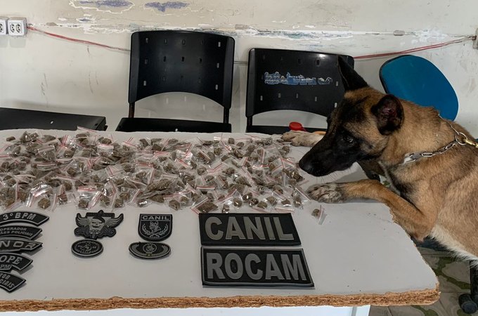 Grande quantidade de embalagens com maconha é apreendida e três homens são presos em ação da PM em Arapiraca