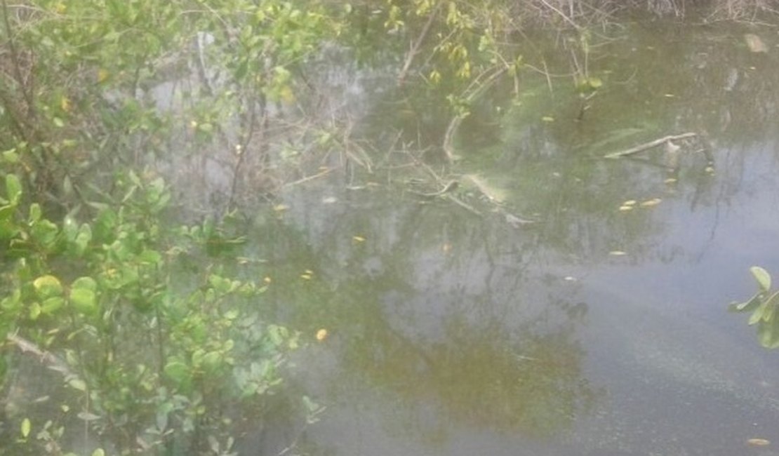 Corpo de Bombeiros resgata corpo encontrado na Lagoa Mundaú