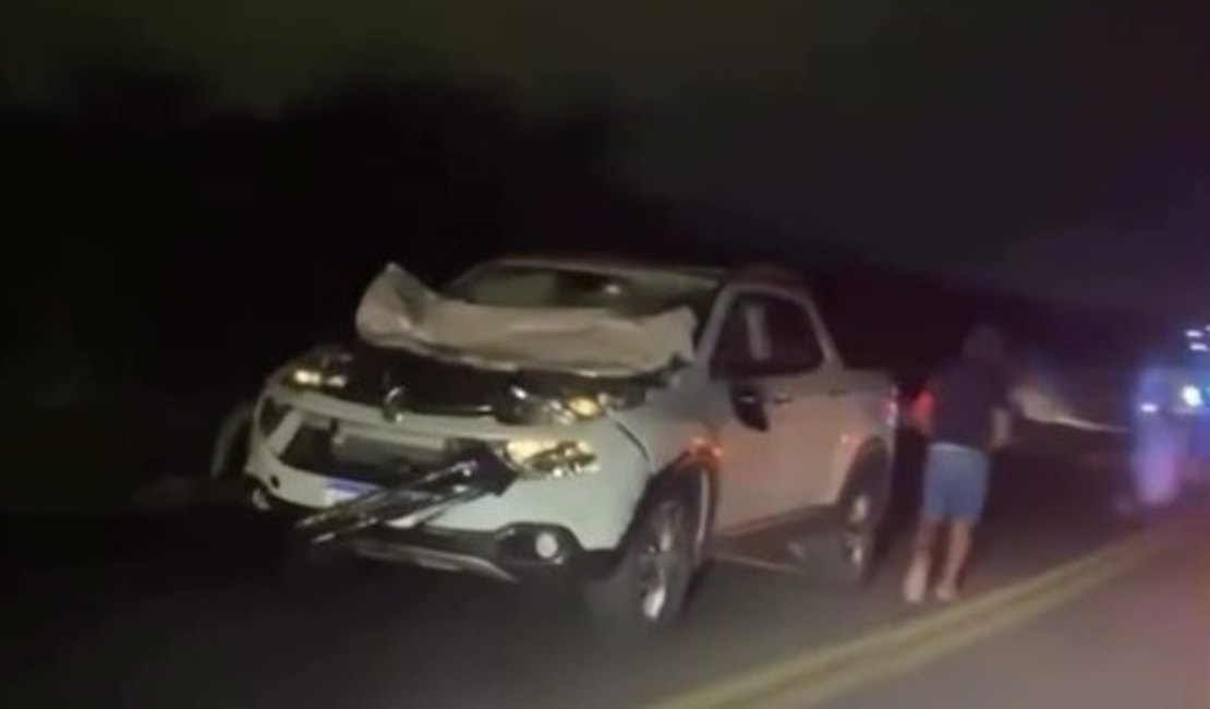 Acidente envolvendo animais na pista deixa agente da PRF ferido, na BR 110, em Delmiro Gouveia