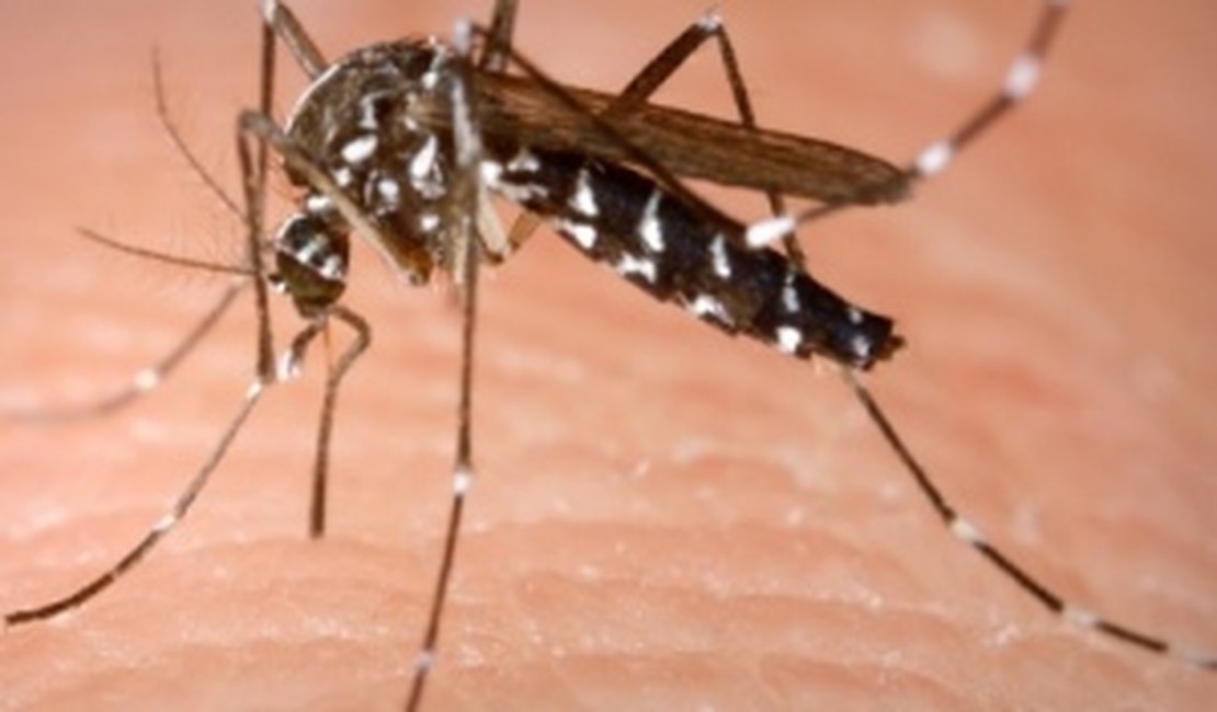 Transmissão de zika através do beijo não está comprovada, diz infectologista