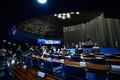 Senado aprova projeto de lei para combater a adultização de crianças no mundo digital