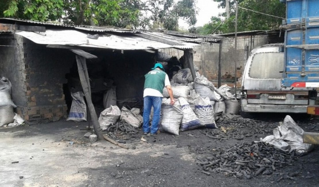 Distribuidora de carvão é interditada e autuada pelo IMA em Arapiraca