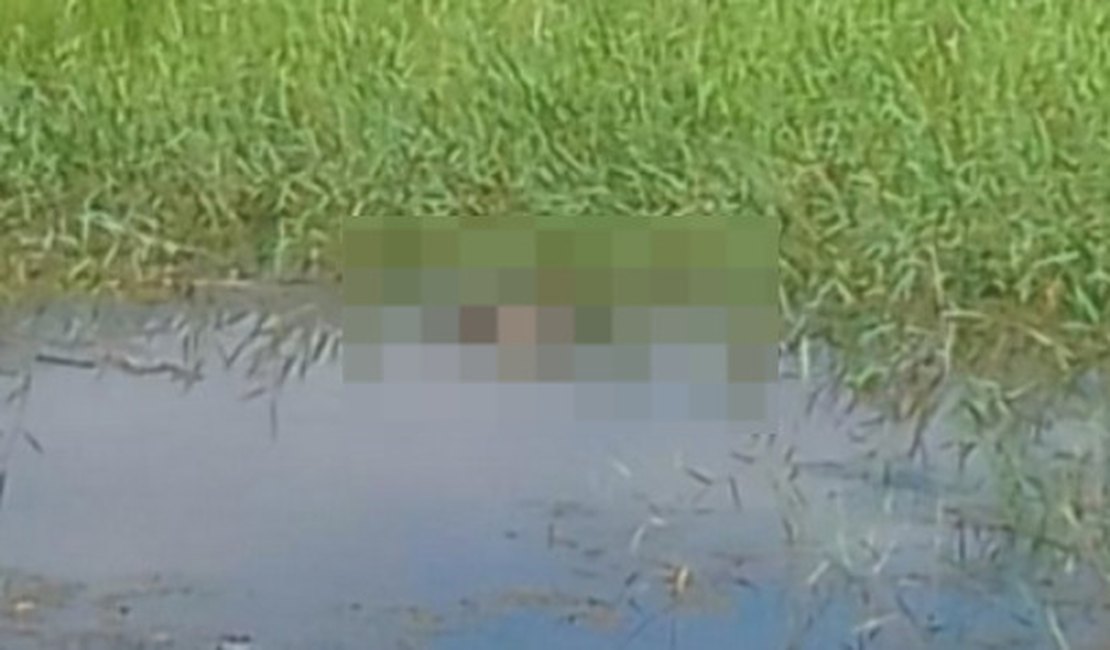 Corpo em estado de decomposição é encontrado em área alagada, em Porto Real do Colégio
