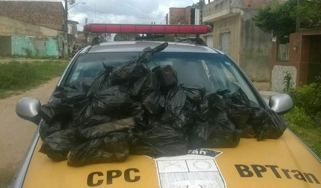 Polícia encontra mais 27 kg de maconha em terreno