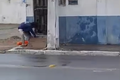 Vídeo flagra homem furtando cabos perto de loja no bairro Brasília