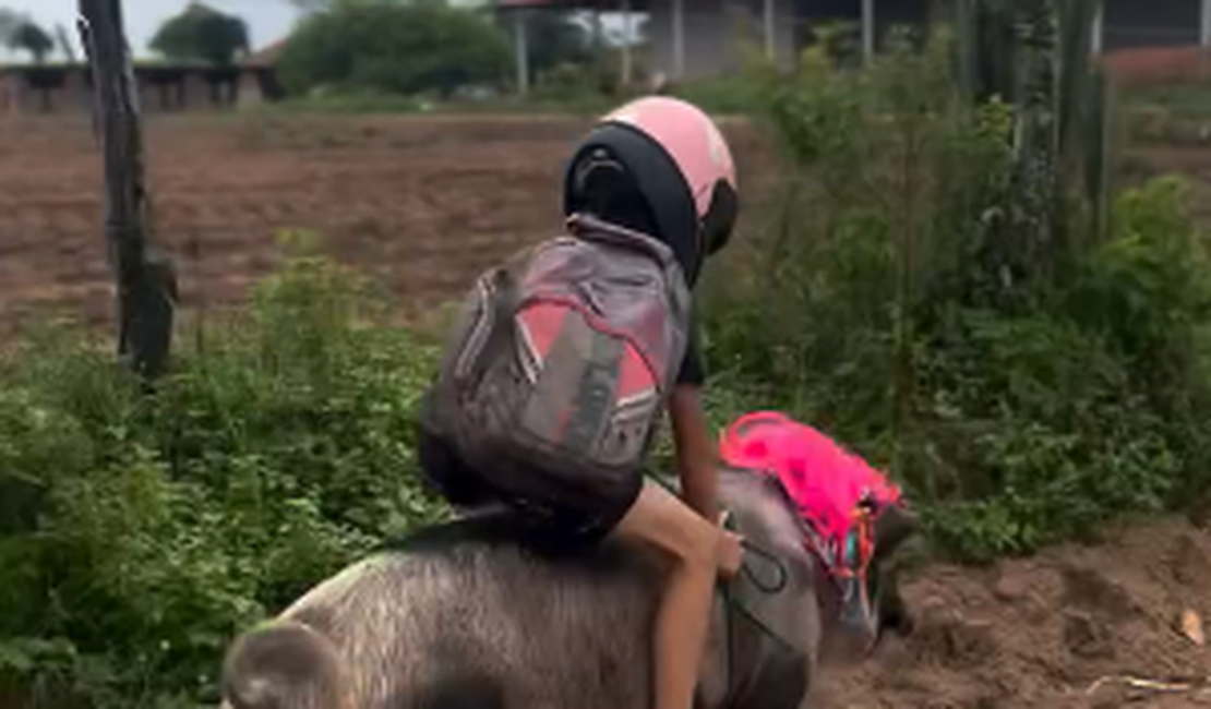 VÍDEO: Menino volta da escola montado em porco em Girau do Ponciano
