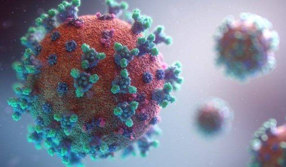 Com mais 13 mortes registradas nas últimas 24h, Alagoas contabiliza 1.567 por covid-19