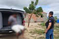 Polícia Civil prende em Maravilha foragido de Pernambuco suspeito de homicídio