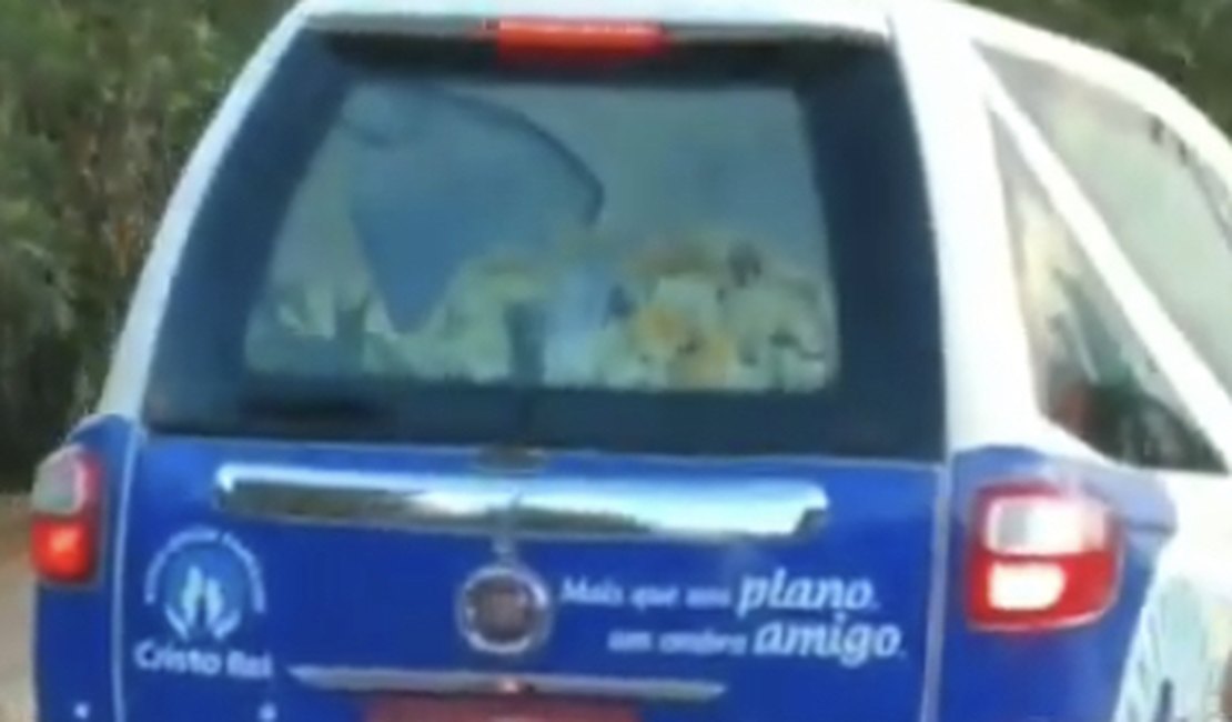 Cantores e influenciadores causam aglomeração e debocham de pandemia no dia que Arapiraca registra 12 óbitos