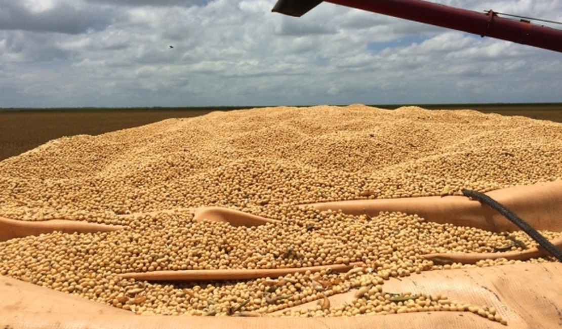 Rodada de negócios vai incentivar a produção de grãos em Alagoas