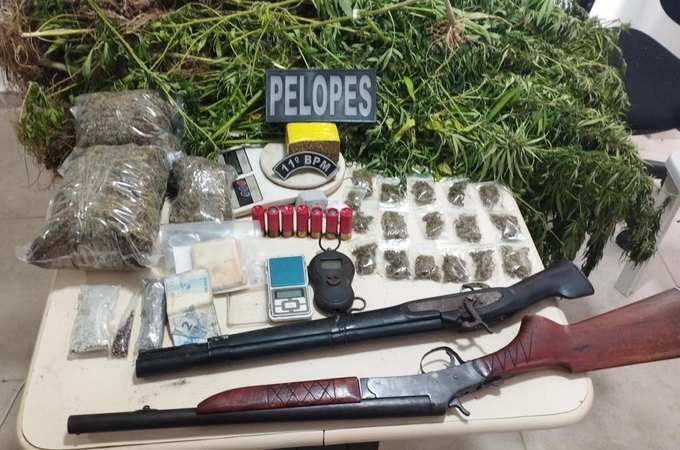 PM descobre plantação de maconha e prende suspeito armado em Penedo