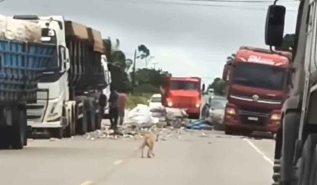 Motorista de caminhão evita acidente e sacos com materiais recicláveis caem na AL-110, em São Sebastião