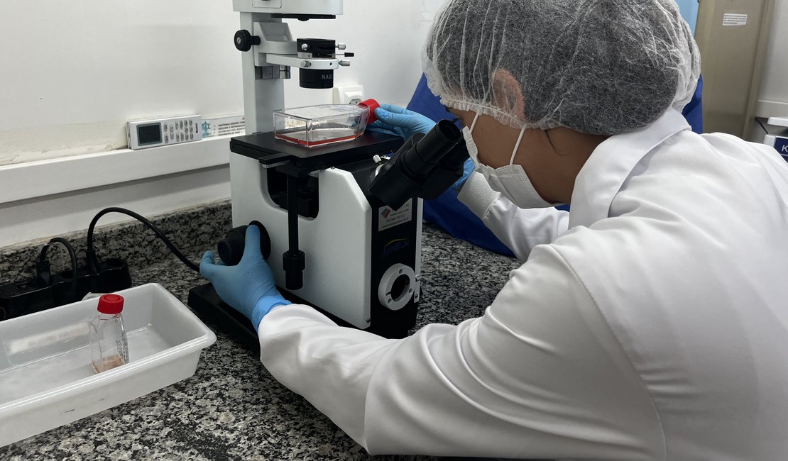 Pesquisa financiada pela Fapeal desvenda a evolução genética do vírus chikungunya em Alagoas