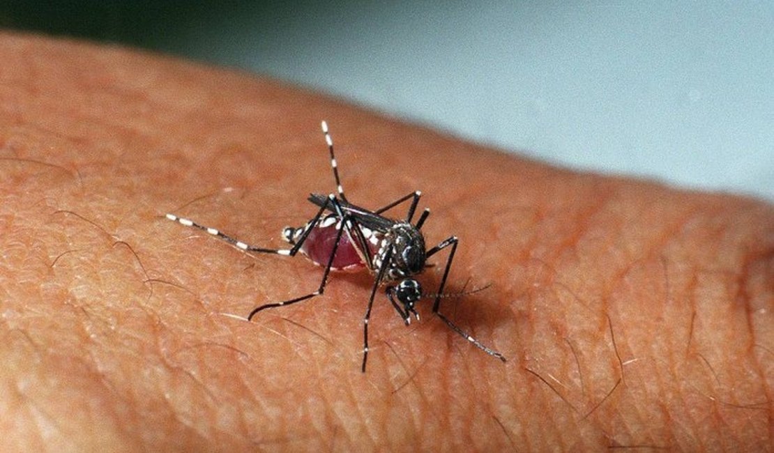 Zika vírus ser transmitido por saliva e urina, detecta Fiocruz