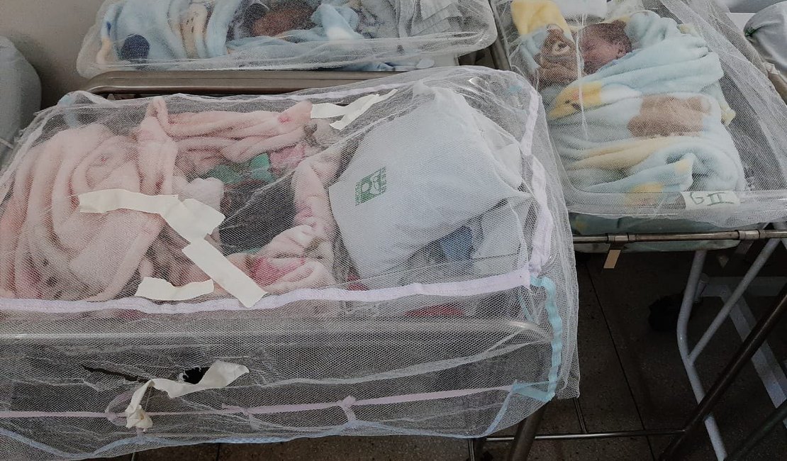 Profissionais de saúde realizam campanha de doações para alagoana mãe de trigêmeos: veja como ajudar