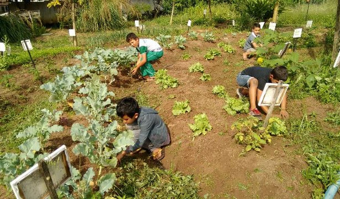 Escola Rural compartilha experiência de horta escolar com instituições de ensino