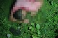 Homem é morto a tiros na zona rural de Girau do Ponciano; veja identidade da vítima
