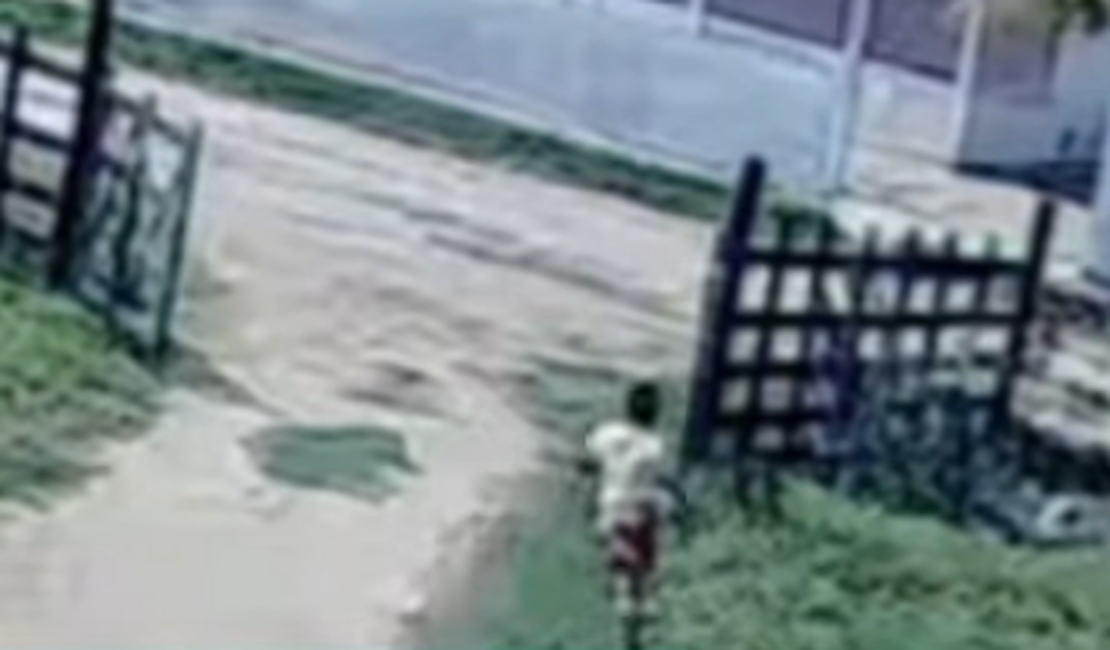 Em vídeo com repercussão nacional, menino salva primo de 5 anos de manada de bois, em Palmeira dos Índios; assista
