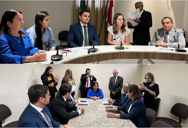 Cinco Comissões Permanentes escolhem seus presidentes e vices na Assembleia Legislativa