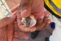 Ronda no Bairro flagra jovem com drogas no Marco dos Corais, em Maceió