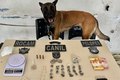 Com auxílio de cão farejador, PM prende homem em ponto de drogas em Arapiraca