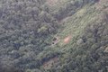 Ação da PF combate lavagem de dinheiro do garimpo na terra Yanomami