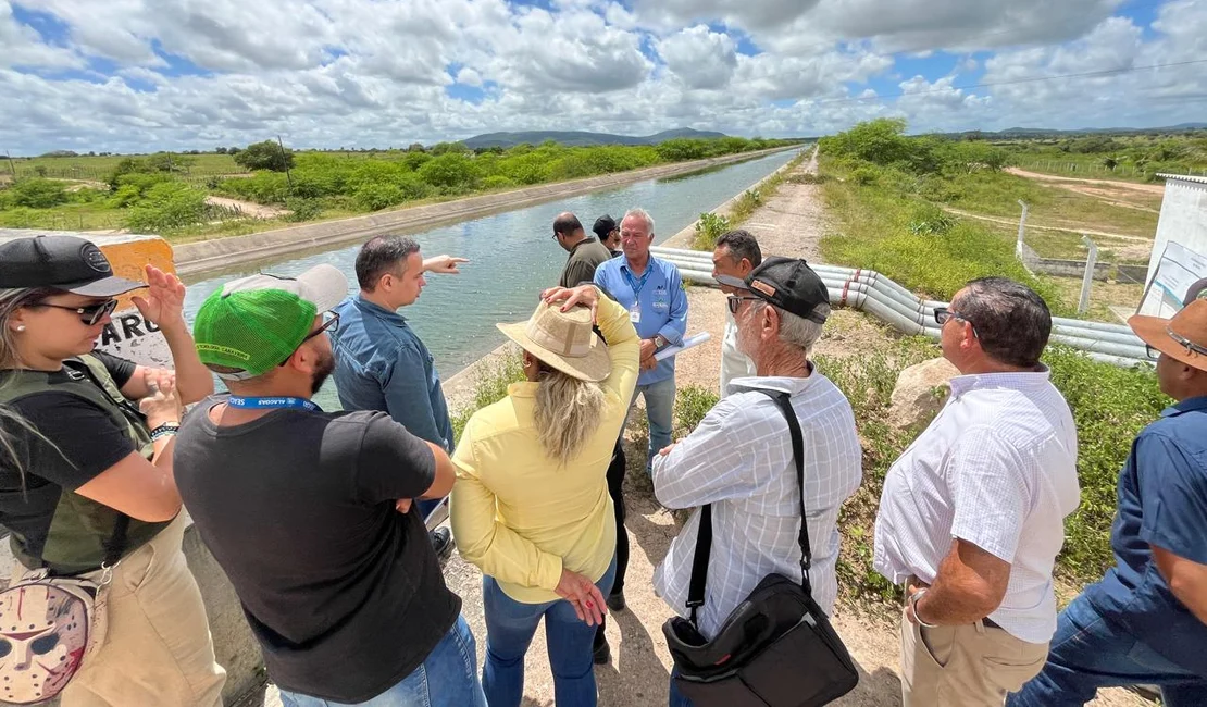 Perímetro do Gavião: primeiro projeto irrigado do Canal do Sertão promete transformar o semiárido alagoano