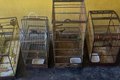 BPA resgata sete aves silvestres que estavam em gaiolas e apreende espingarda, em Arapiraca