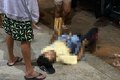 Jovem é esfaqueado em tentativa de homicídio no Agreste alagoano