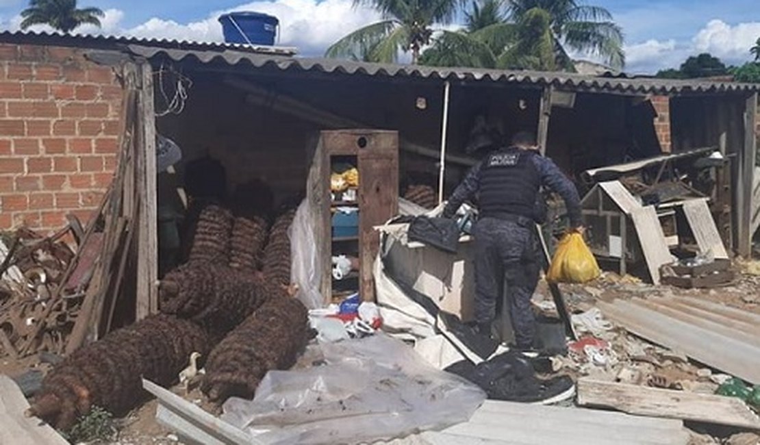 PM recupera, em Arapiraca, cerca de 2000 quilos de fumo roubados em Feira Grande