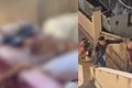 Irmãos são presos em flagrante por manter corpo de pai por pelo menos 6 meses dentro de casa na Ilha