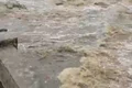 Vídeo mostra nível elevado do Rio Poção após fortes chuvas em Arapiraca
