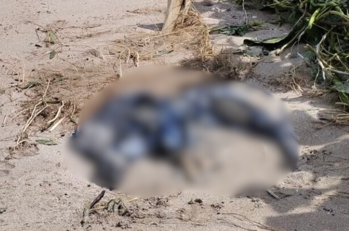 Polícia Científica atua para identificar ossada humana encontrada em São Miguel dos Milagres