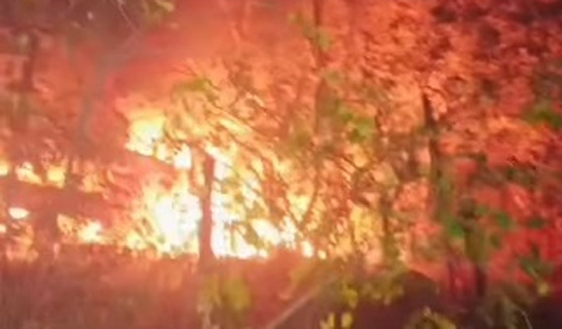 Caminhão tomba, pega fogo e duas pessoas morrem carbonizadas em Pão de Açúcar