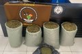 Polícia Militar apreende quase 32kg de maconha no Sertão de Alagoas