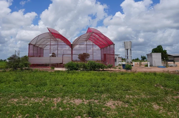 Polo Tecnológico Agroalimentar apresenta projeto de estufas hidropônicas a pequenos produtores rurais em Arapiraca